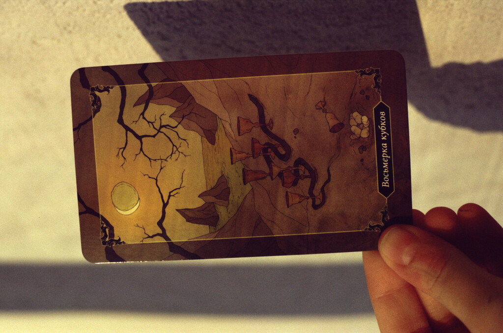 dark wood tarot таро тёмного леса